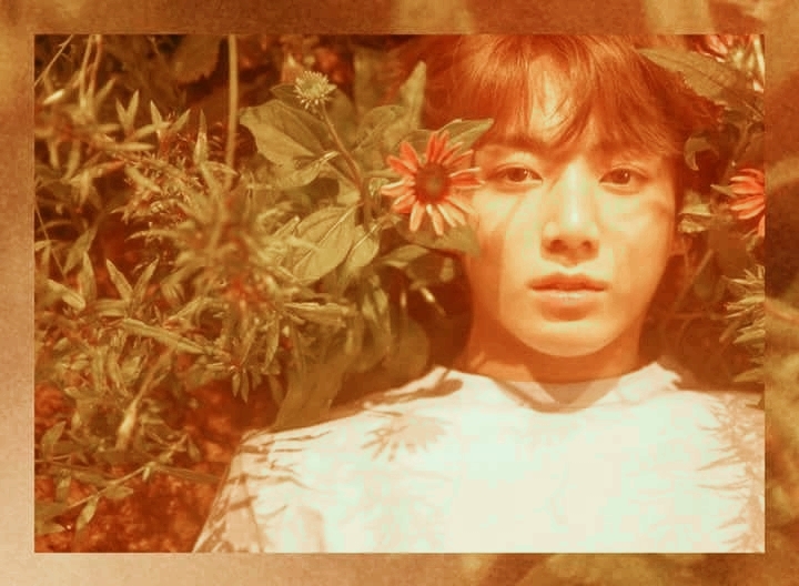 bts  jungkook