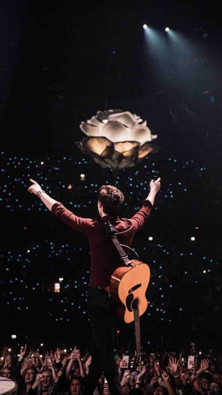 shawn mendes concert