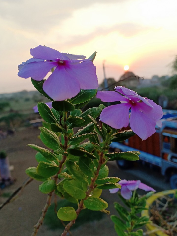 good morning