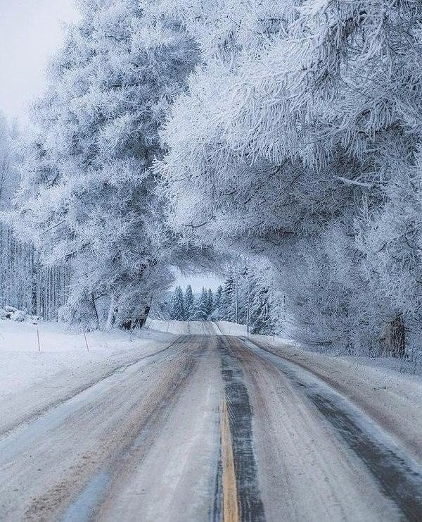 winter