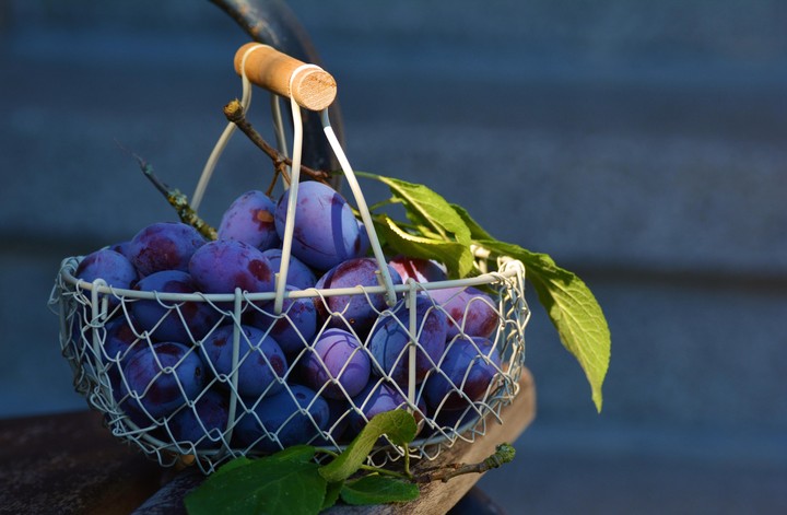 cesta de uvas