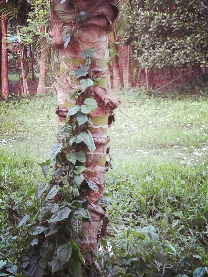 in my free time