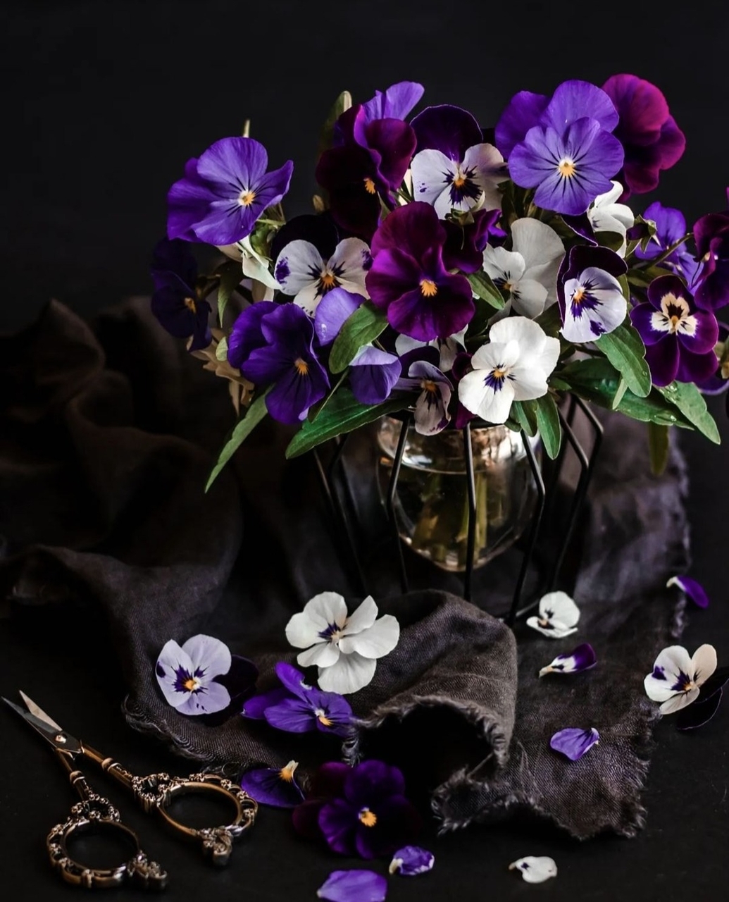 sfondi Bloom, design