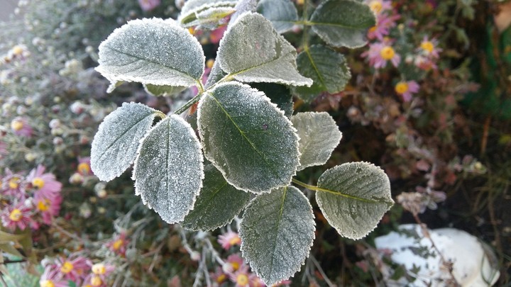 Winter...