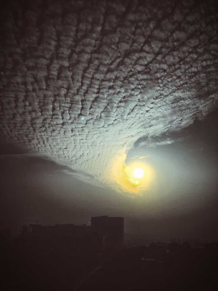 Apple of sky