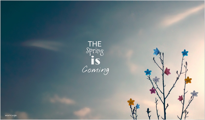 the spring is coming