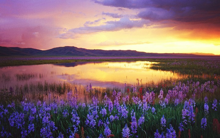 Nature is beautiful