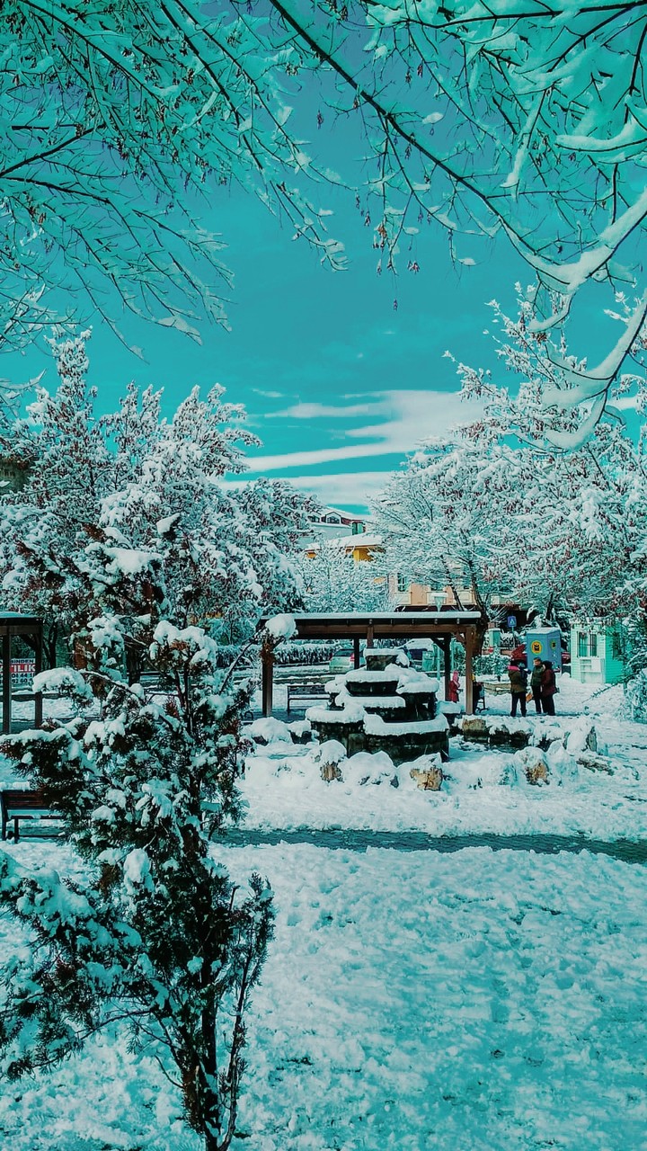 winter