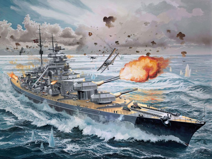 Bismarck in Action