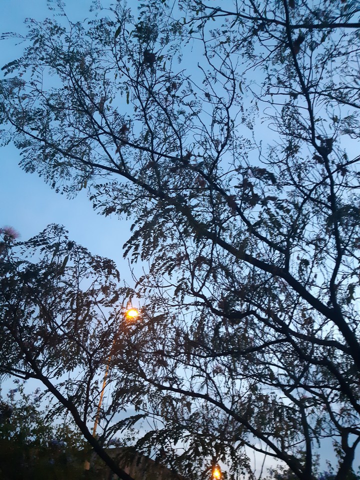 The beauty of Nature