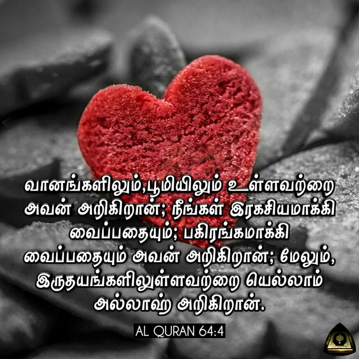 Tamil Quran Hadith