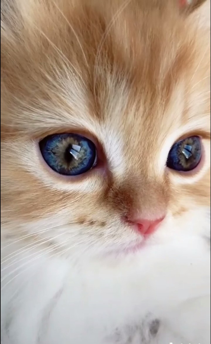 cute