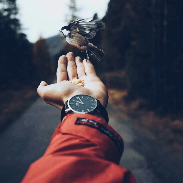 hand