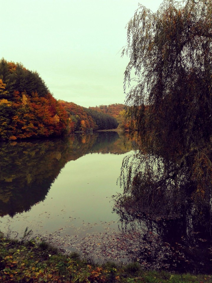 lake