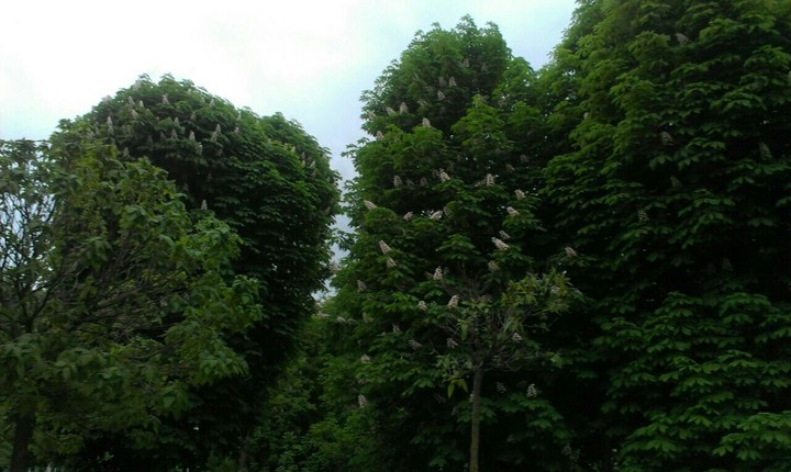 square