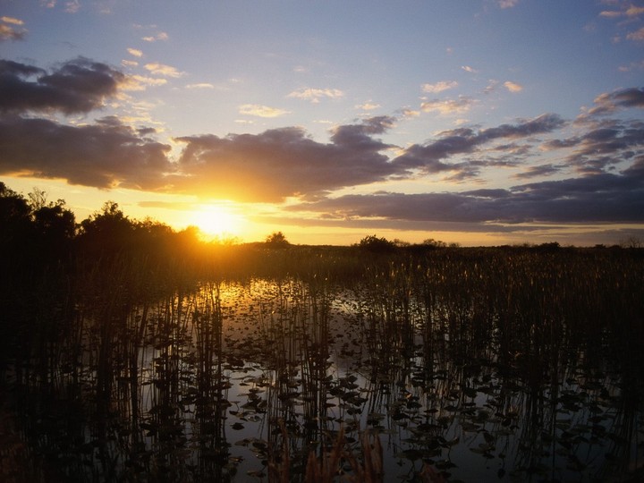 Loxahatchee National Wildlife Refuge, Florida