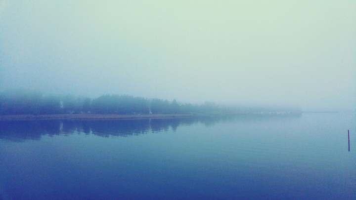 just fog