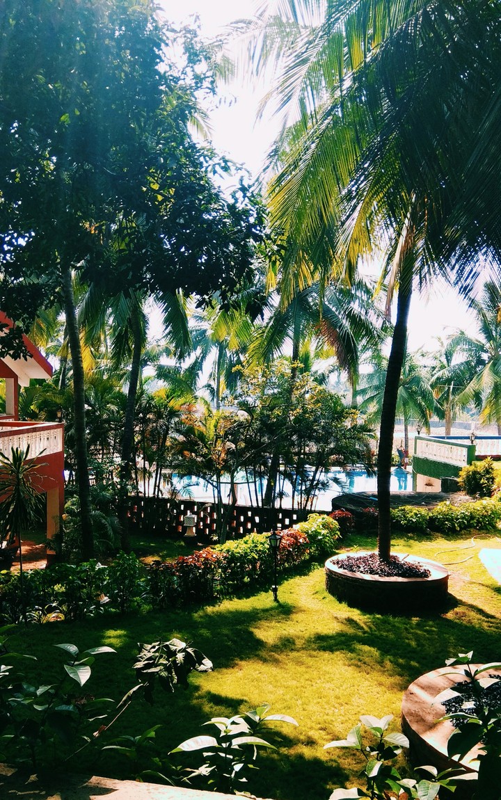 beach, resort