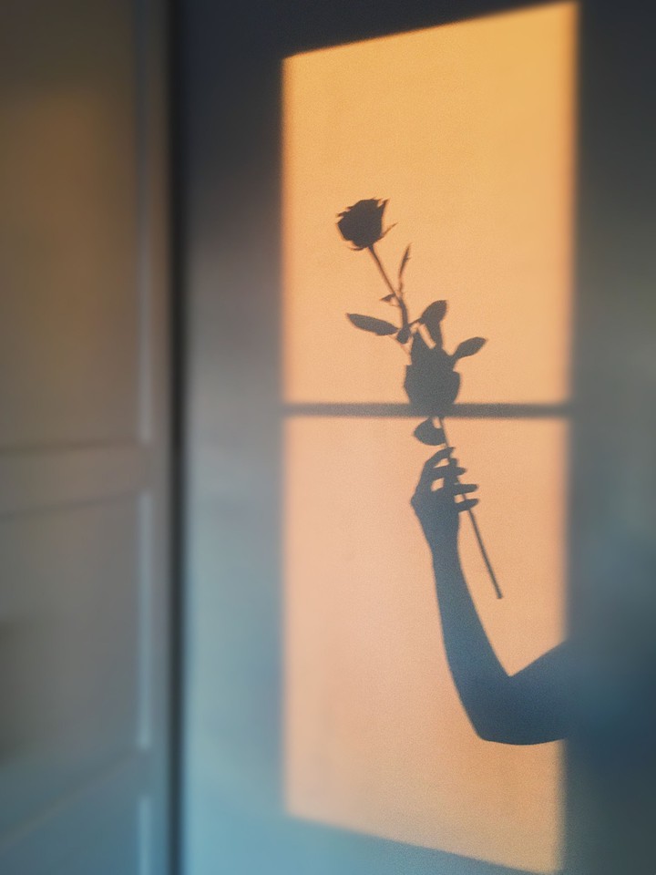 Love Box?