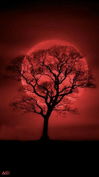 lua de sangue