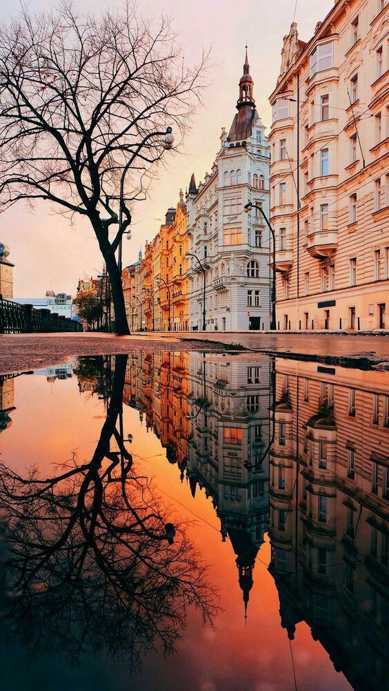 Urban landscape