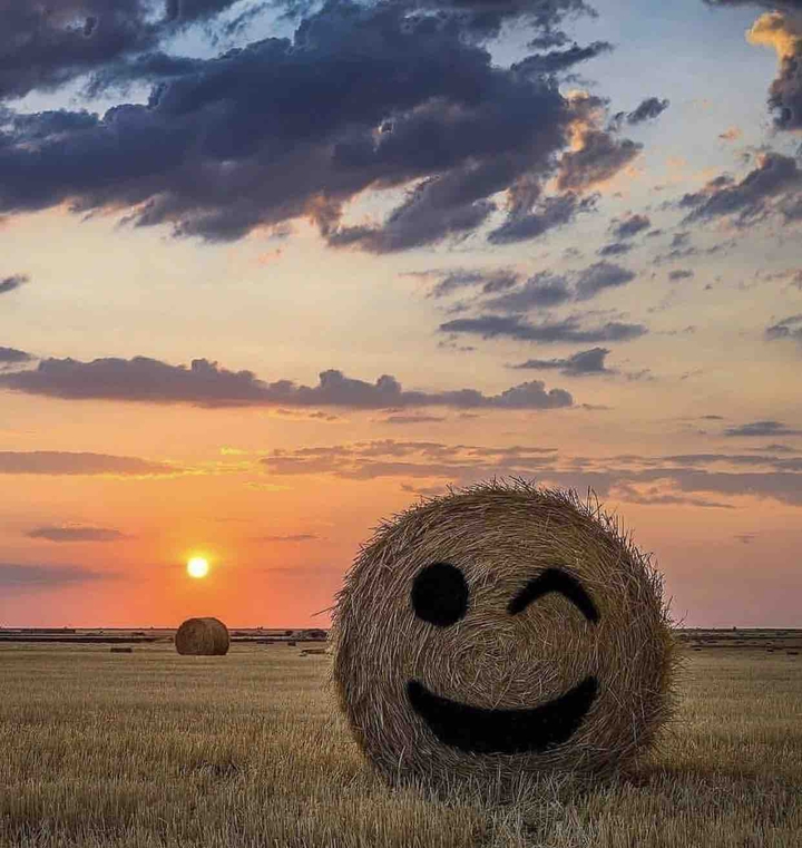 smile