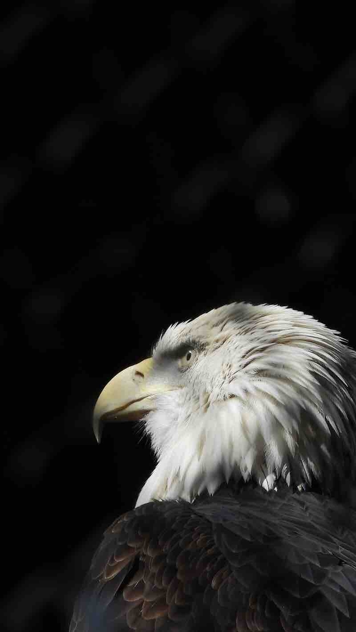bjk