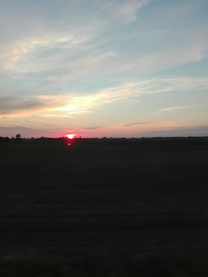 Red Sunn