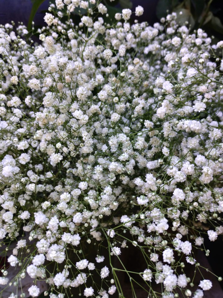✨✨✨