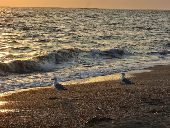 Sea