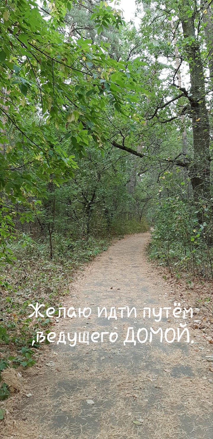 Желаю идти путём ,ведущего ДОМОЙ.