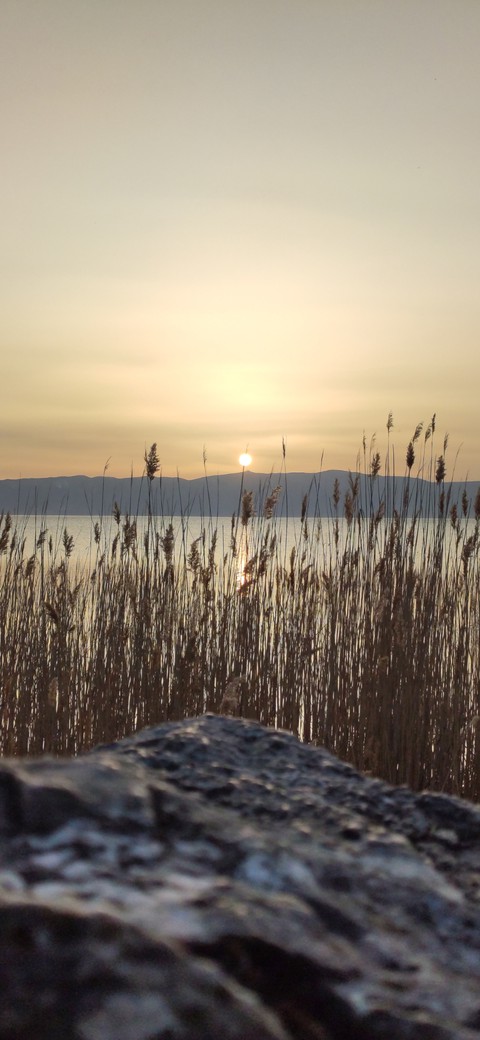Sunset Lake