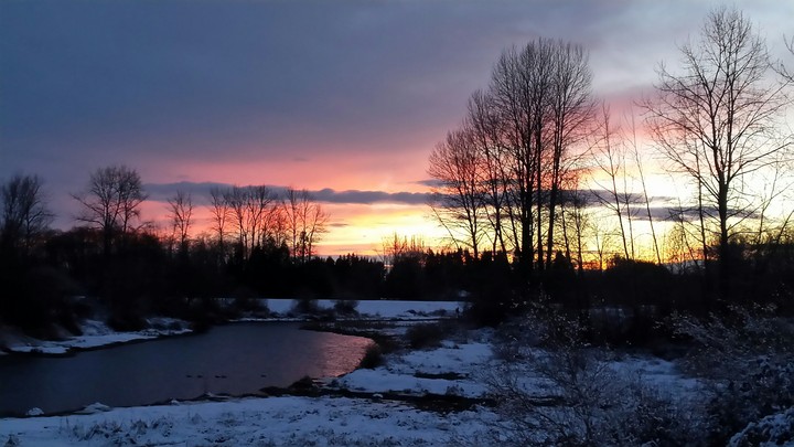 Winter Nights
