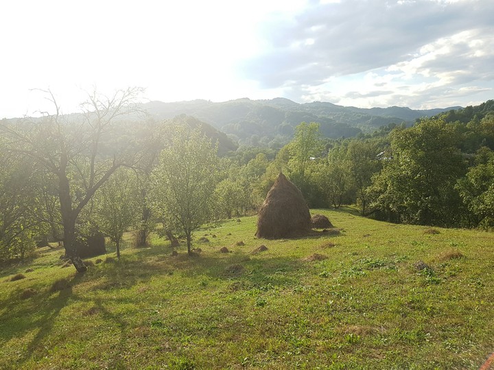 Farm