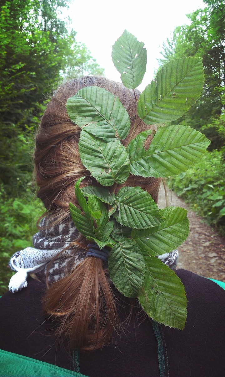 Grab/Hornbeam