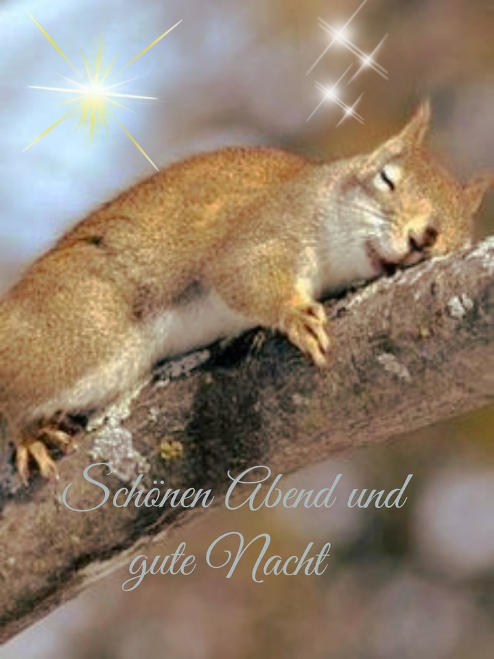 gute Nacht