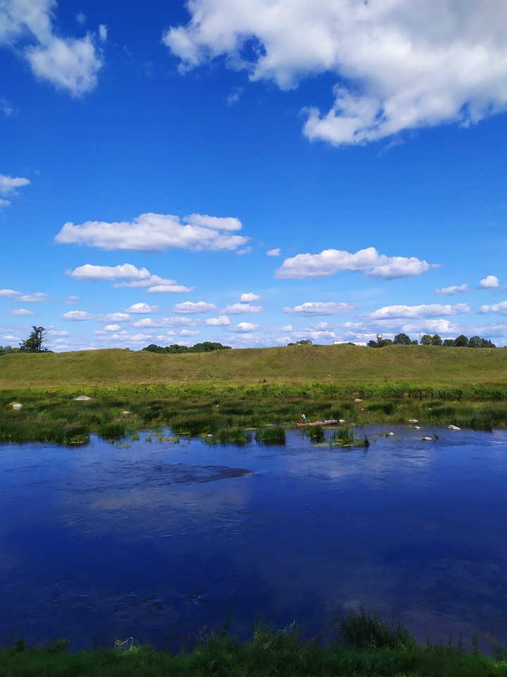 nature