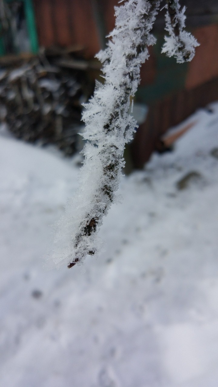 Finally winter