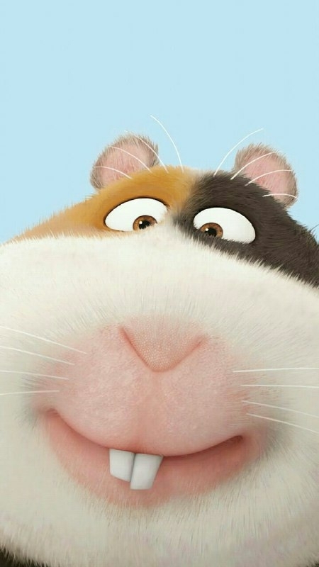 animation