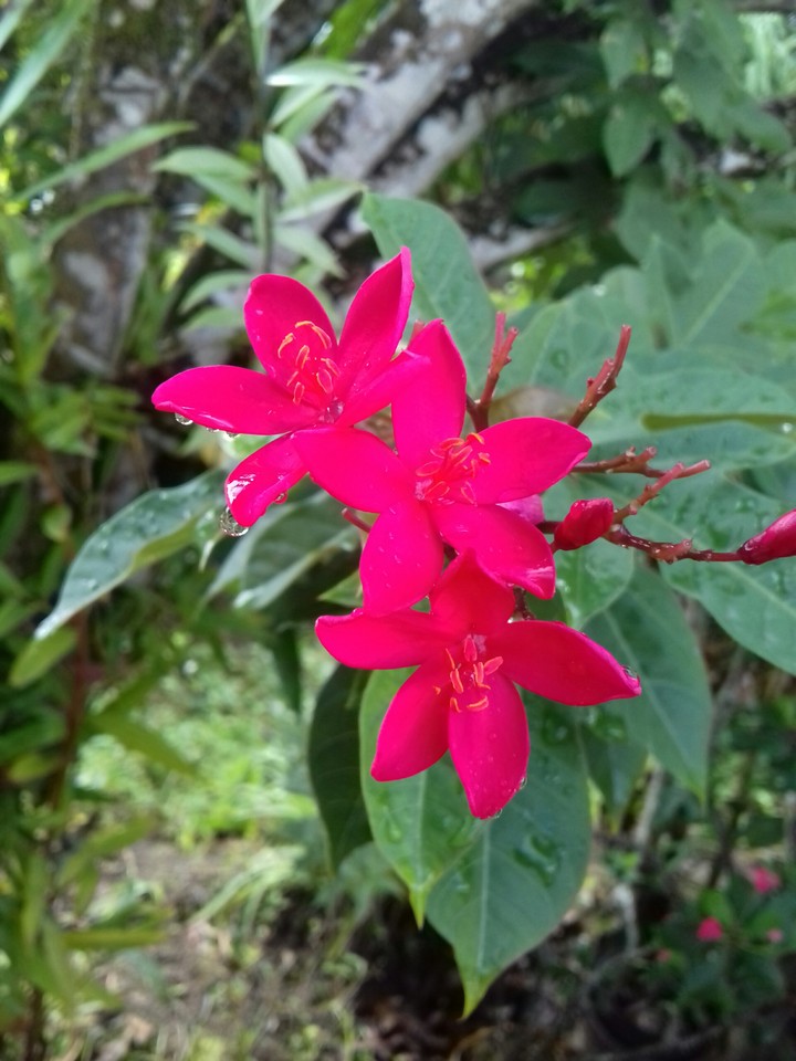 (unknown)