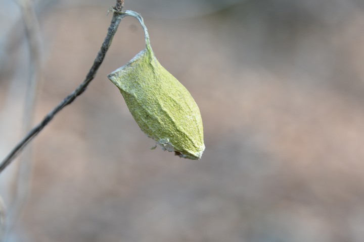 천마산이미지