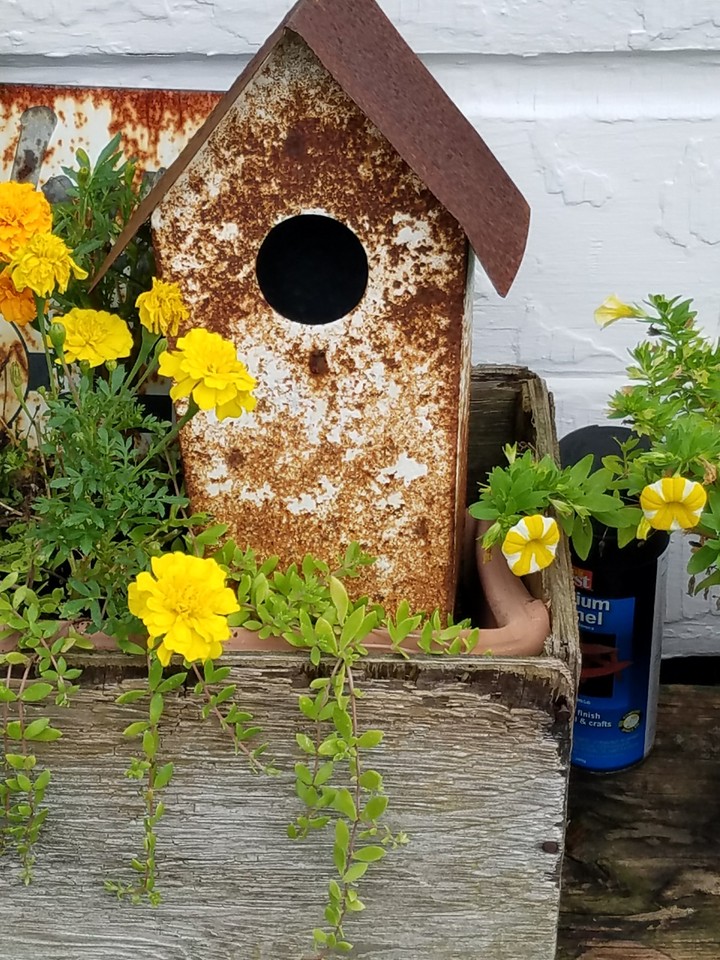 Old birdhouse