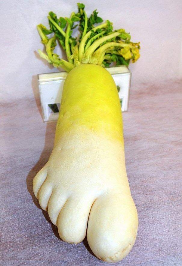 Big foot