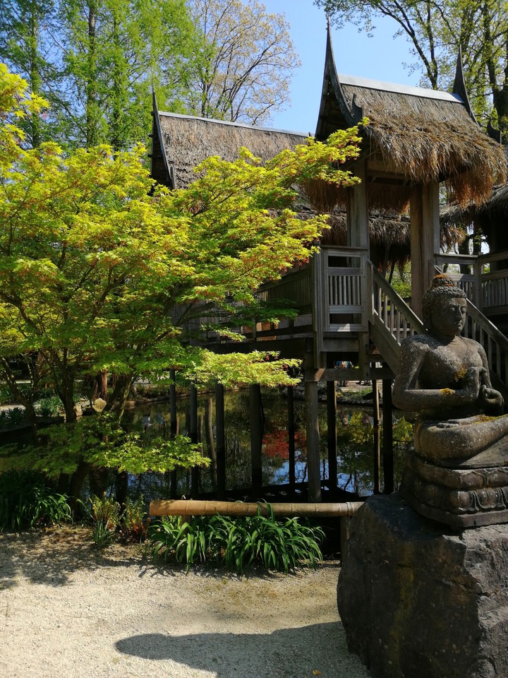 Oosterse tuin