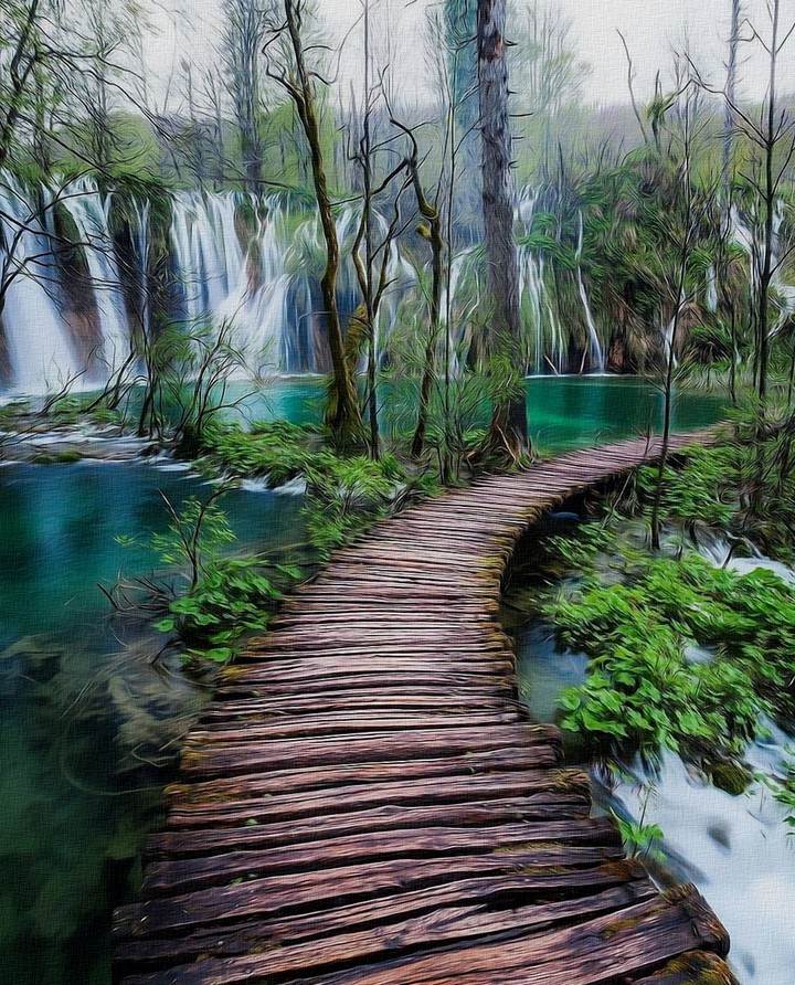 Nature_art