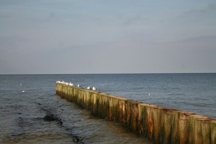 the sea