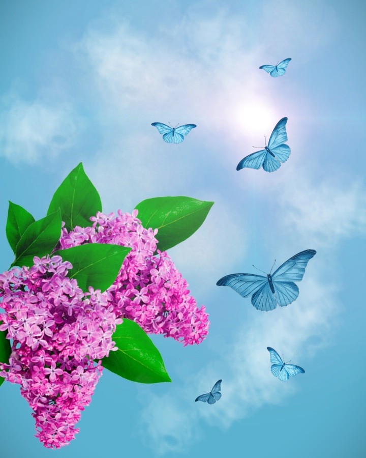 lovely day...