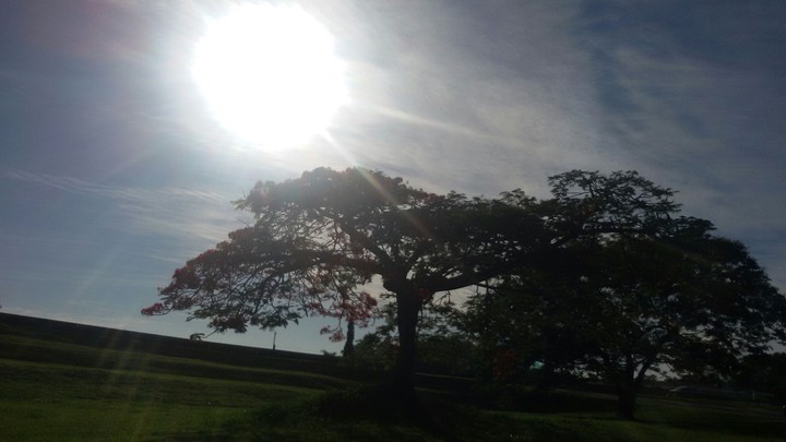Sun radiant light!!!