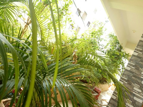 my dream home