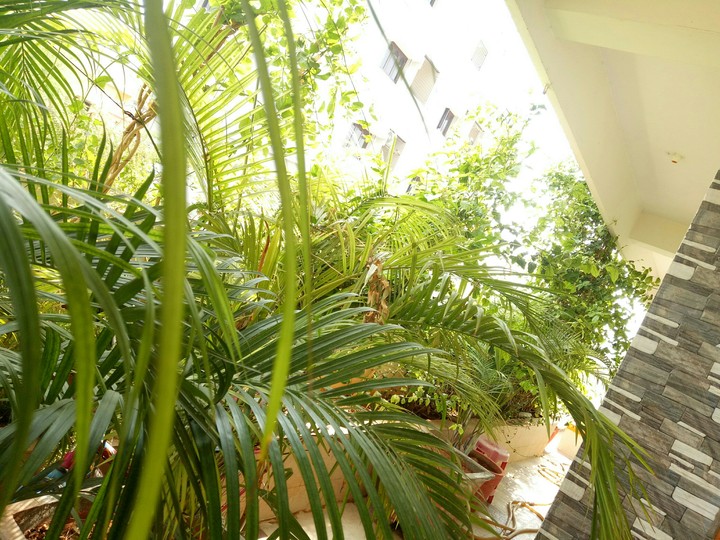 my dream home
